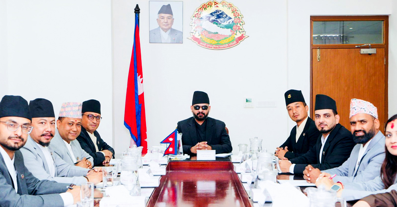 सरकारका १०० कार्ययोजना  सार्वजनिक