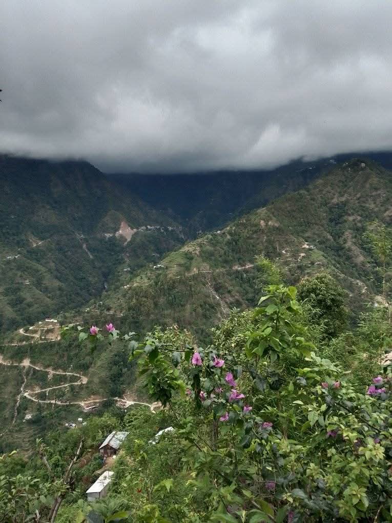 बाढीले बगाउँदा ललितपुरमा सब-इन्जिनियरको मृत्यु